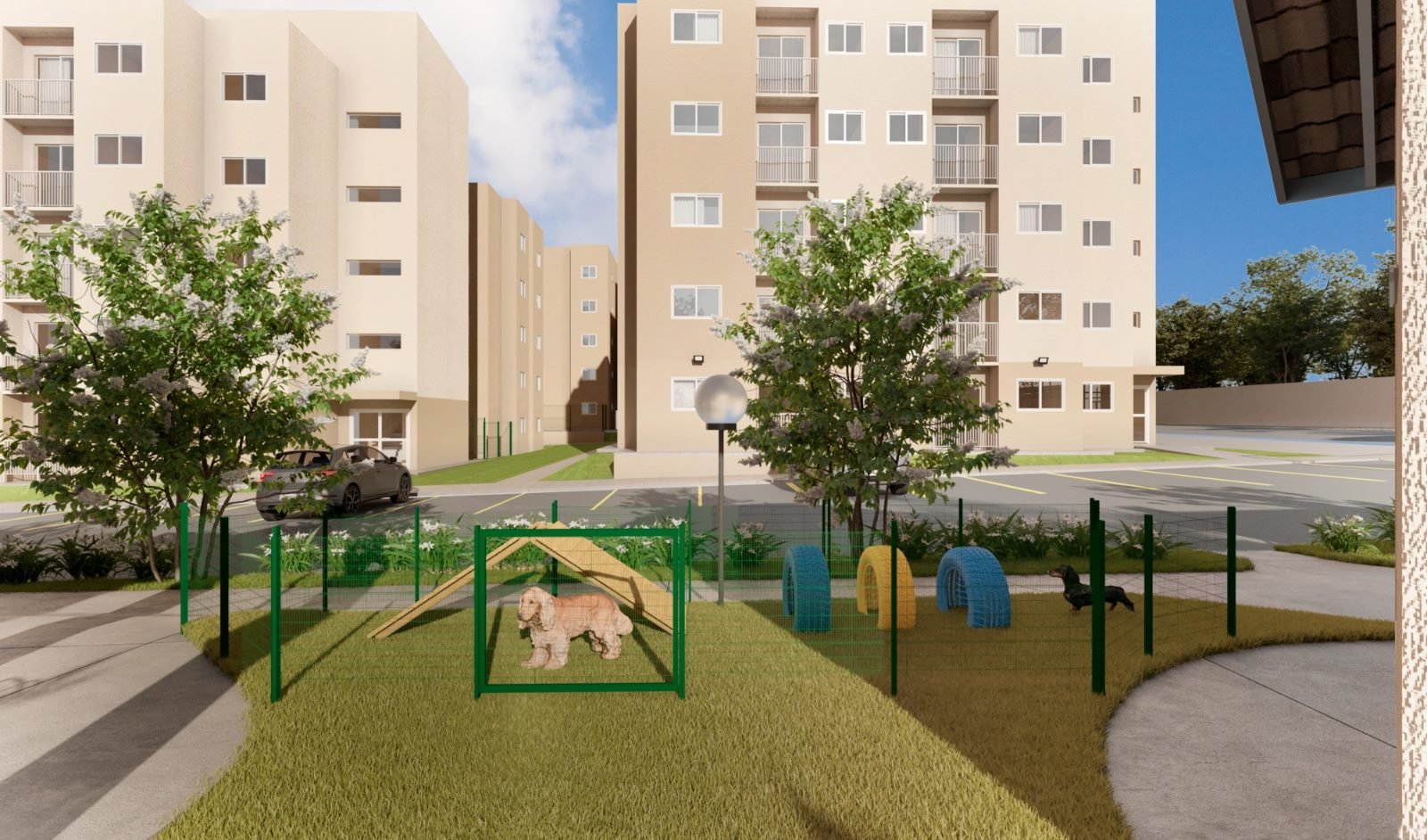 Pet place no LIV Mangalô